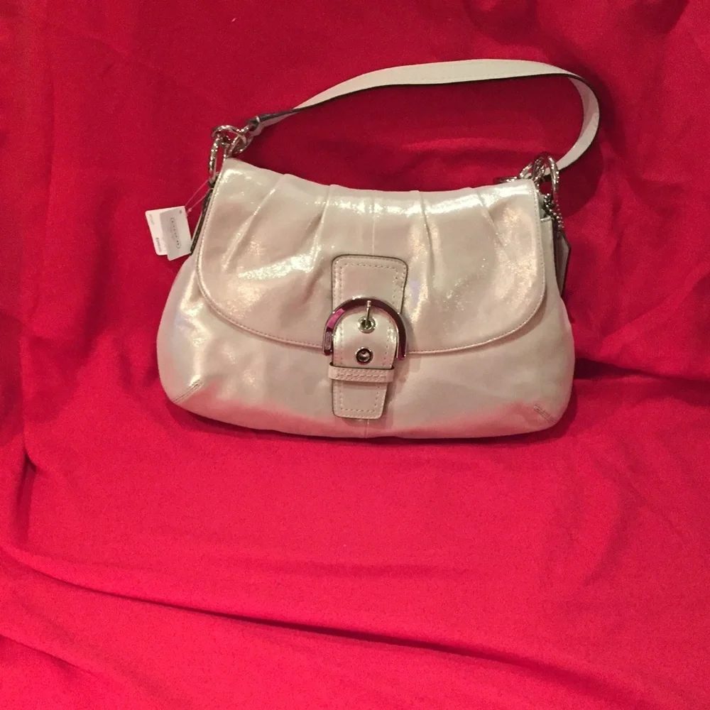 Coach Sueded Leather Very Unique Sparkled Bag NWT